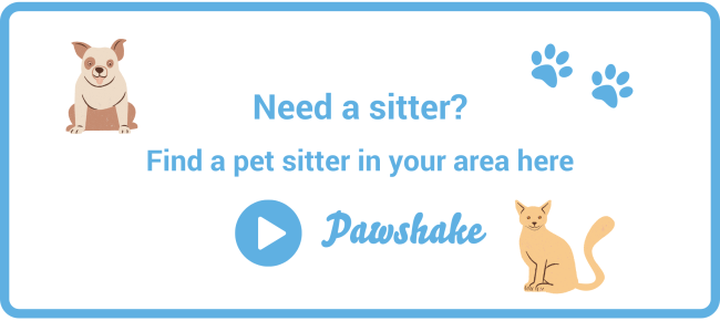 Book a pet sitter