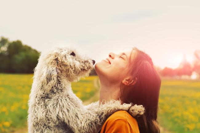 Dog and owner in the sunshine