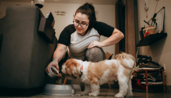 Vrouw geeft een hondje te eten